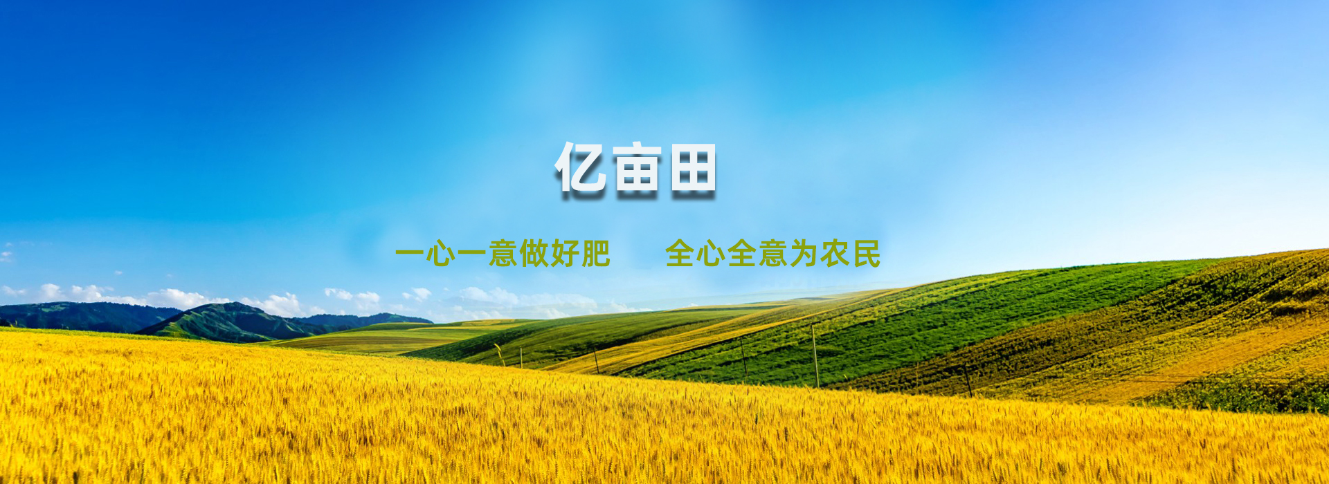 幻灯片1